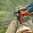 Business 4 image BLACKTOWN TREE SERVICES Tree & Stump Removal Services in Woodcroft NSW