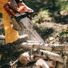 Business 7 image BLACKTOWN TREE SERVICES Tree & Stump Removal Services in Woodcroft NSW