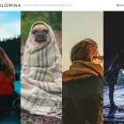 Business 5 image BLITZO STUDIO Web Design & Development in Sydney NSW