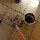 Business 2 image BLOCKED DRAINS BONDI Plumbing Supplies in Bondi NSW