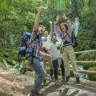 Business 1 image BLUE MOUNTAINS TOURS Tours in Sydney NSW
