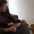 Business 24 image BLUE WING CARE PROFESSIONALS Technical Aid to The Disabled in Campbelltown NSW