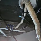 Business 6 image BORN TO ROAM SERVICES Camper Trailers & Caravans in Moorabbin VIC