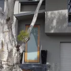 Business 3 image BPSM ARCHITECTS Project Management in Hobart TAS