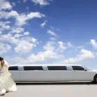 Business 3 image BRIGHTON LUXURY LIMOS Party Limo in Melbourne VIC