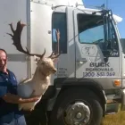 Business 7 image BUCK REMOVALS Storage--General in Dubbo NSW