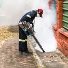 Business 2 image BUGS OR US PEST CONTROL Pest Inspection in Taree South NSW