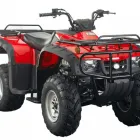 Business 5 image BUZZ BIKES Quad Bikes in Bayswater North VIC
