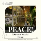 Business 3 image CALAMARI KITCHEN & BAR Restaurant in Newcastle West NSW