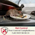 Business 3 image CAMPBELLTOWN PEST CONTROL Pest Control in Campbelltown NSW