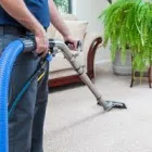 Business 1 image CAPITAL CLEANING CANBERRA - CARPET CLEANING CANBERRA Carpet Cleaning & Protection in Belconnen ACT