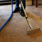 Business 1 image CARPET CLEANING BELCONNEN Carpet Cleaning & Protection in Belconnen ACT
