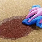Business 5 image CARPET CLEANING BRADDON Carpet Cleaning & Protection in Belconnen ACT