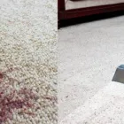 Business 1 image CARPET CLEANING BROWNS PLAINS Carpet & Furniture Cleaning & Protection in Browns Plains QLD