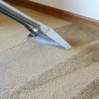 Business 2 image CARPET CLEANING CASTLE HILL Carpet Cleaning & Protection in Castle Hill NSW