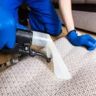 Business 3 image CARPET CLEANING CASTLE HILL Carpet Cleaning & Protection in Castle Hill NSW