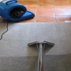 Business 3 image CARPET CLEANING CASTLE HILL Carpet Cleaning & Protection in Castle Hill NSW