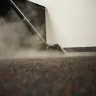 Business 2 image CARPET CLEANING COOGEE Carpet Cleaning & Protection in Coogee NSW