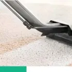 Business 1 image CARPET CLEANING DANDENONG Professional Carpet Cleaning in Dandenong VIC