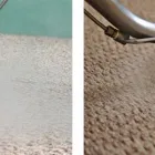 Business 6 image CARPET CLEANING DANDENONG Carpet Cleaning & Protection in Dandenong VIC