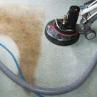 Business 3 image CARPET CLEANING HAWKER Carpet Cleaning & Protection in Hawker SA