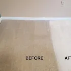 Business 1 image CARPET CLEANING HAWTHORN Carpet Cleaning & Protection in Hawthorn VIC