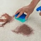 Business 1 image CARPET CLEANING IN PERTH Carpet Steam Cleaning in Perth WA