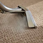 Business 2 image CARPET CLEANING IN PERTH Carpet Steam Cleaning in Perth WA
