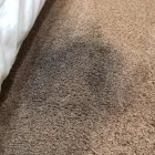 Business 1 image CARPET CLEANING KINGSTON Carpet Cleaning & Protection in Manuka ACT