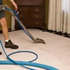 Business 2 image CARPET CLEANING MELBOURNE Upholstery Cleaning in Melbourne VIC