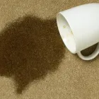 Business 7 image CARPET CLEANING MELBOURNE Carpet & Furniture Cleaning & Protection in Melbourne VIC