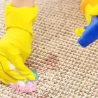 Business 2 image CARPET CLEANING NORTH HOBART Home Cleaning in North Hobart TAS
