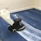 Business 3 image CARPET CLEANING NORTH SYDNEY Carpet Cleaning & Protection in North Sydney NSW
