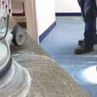 Business 1 image CARPET CLEANING PADDINGTON Home Cleaning in Paddington NSW