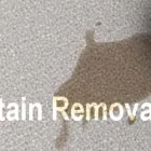 Business 2 image CARPET CLEANING PADDINGTON Home Cleaning in Paddington NSW