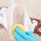 Business 4 image CARPET CLEANING SHEIDOW PARK Home Cleaning in Sheidow Park SA