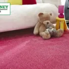 Business 2 image CARPET CLEANING SYDNEY NSW Carpet Cleaning & Protection in Sydney NSW