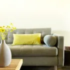 Business 3 image CARPET CLEANING SYDNEY Upholstery Cleaning in Surry Hills NSW