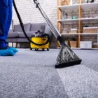 Business 1 image CARPET CLEANING SYDNEY in Stanmore NSW