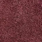 Business 3 image CARPET CLEANING SYDNEY in Stanmore NSW