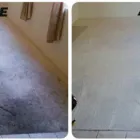 Business 2 image CARPET CLEANING SYDNEY Carpet Cleaning & Protection in Sydney NSW