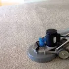 Business 5 image CARPET CLEANING SYDNEY Carpet Cleaning & Protection in Sydney NSW