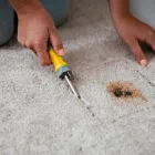Business 4 image CARPET REPAIR CANBERRA Carpet Stretching in Forrest ACT