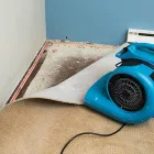 Business 1 image CARPET REPAIR MELBOURNE Commercial & Industrial Cleaning Services in Melbourne VIC
