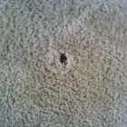 Business 4 image CARPET REPAIR SHEIDOW PARK Carpet Repair in Sheidow Park SA