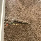 Business 1 image CARPET SEAM REPAIR BRISBANE Home Improvements in Brisbane QLD