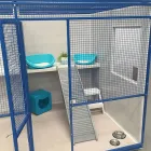 Business 3 image CAT CAMP Pet Care Services in Melbourne VIC