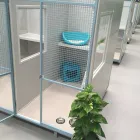 Business 4 image CAT CAMP Pet Care Services in Melbourne VIC