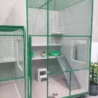 Business 1 image CAT CAMP Pet Care Services in Melbourne VIC