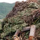 Business 1 image CAT RUBBISH REMOVAL Waste Disposal & Reduction Services in Sydney NSW